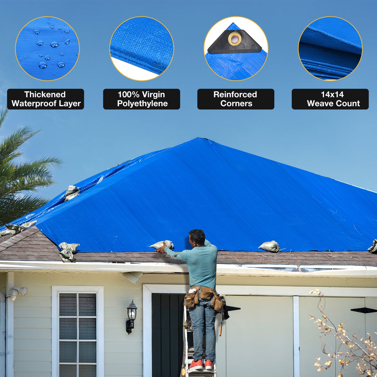 14 Mil Tarp (Blue)